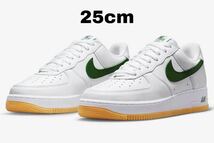 ナイキ エアフォース1 ロー カラー オブ ザ マンス グリーン スウッシュ 新品　25cm Nike Air Force 1 Low Color of the Month FD7039-101_画像1