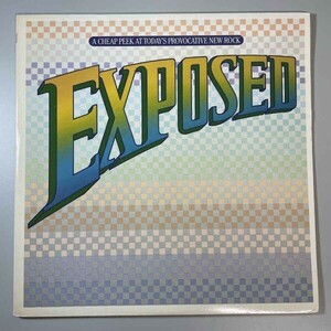 30890★美盤【US盤】 V.A. / Exposed: A Cheap Peek At Today's Provocative New Rock ・２枚組