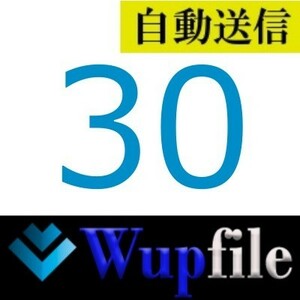 【自動送信】Wupfile 公式プレミアムクーポン 30日間 通常1分程で自動送信します