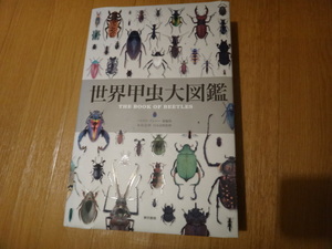 専門書　昆虫図鑑　世界甲虫大図鑑　東京書籍