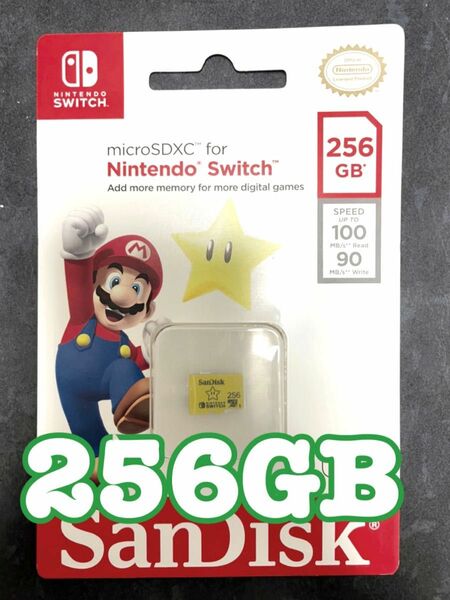 マイクロSDカード 256GB