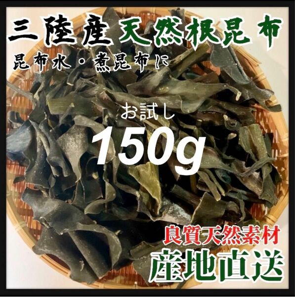 【岩手県産】根昆布お試し150g 粘り強い　昆布茶　希少部位　煮物　出汁等に最適 おしゃぶり昆布