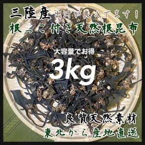 【根っこ付き天然根昆布】根昆布　大容量3kg 冬季収穫　天然昆布 高級出汁