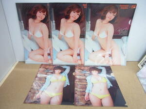 . mountain ...* clear file 2 kind 5 sheets 