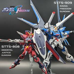 HG ライジングフリーダムガンダム & イモータルジャスティスガンダム 蛍光発色完成品２体セット（リバーシブルディスプレイベース付き）