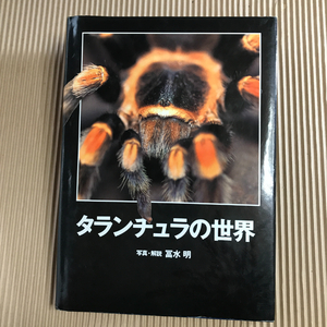 タランチュラの世界 冨水明 1996年発行