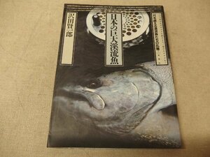 0241013h【日本の巨大渓流魚 沢田賢一郎】1988年5月発行/中古本/20×30cm程度