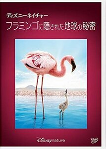 【新品未開封】 ディズニーネイチャー/フラミンゴに隠された地球の秘密 DVD 6g-2244