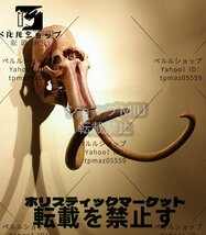 動物 象 ゾウ ウォールデコレーション 樹脂 ハンドメイド アニマルヘッド 壁掛け オブジェ インテリア 壁飾り リビング 玄関 雑貨_画像1