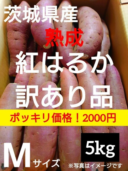 茨城県産熟成さつまいも人気品種《紅はるか》訳あり品Mサイズ（5kg）（2）
