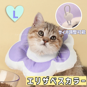 [ purple L] soft Elizabeth collar . after wear cat dog skin sick male female water-repellent waterproof purple 