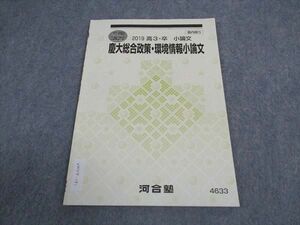 VW04-191 河合塾 慶大総合政策・環境情報小論文 慶應義塾大学 テキスト 2019 冬期講習 03s0B