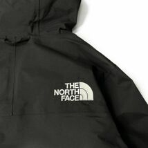 1円～!売切!【正規新品】THE NORTH FACE◆SILVANI ANORAK マウンテンジャケット アノラック US限定 撥水 スノボ スキー(M)黒 180915-70_画像10