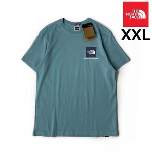 売切り【正規新品】THE NORTH FACE◆SMALL BOX SS 半袖 Tシャツ US限定 ボックスロゴ 男女兼用 キャンプ アウトドア(XXL)水色 青 180902-20