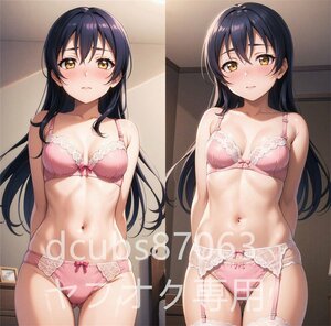 [ラブライブ]園田海未/90cm×45cmサイズ/抱き枕カバー/2wayトリコット