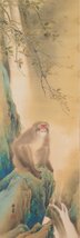 【真作】【渡鹿庵】[國華] 9123 掛軸 日本画 猿蜂見上げ図 合箱 絹本 花鳥図 在銘_画像3