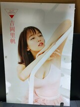 吉岡里帆 Wアニバーサリー写真集「日日」 通常版　＆　週刊プレイボーイ 吉岡里帆 DVD　＆　プレミアminiブックの３点セット_画像7