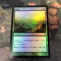 nv7 50 Foil 探検 Explore ワールドウェイク WWK MTG 日本語 JP 汎用 統率者戦 ランプ ランパン_画像1