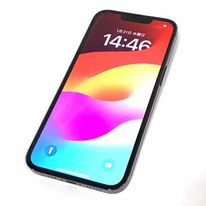 1円 SIMフリー Apple iPhone13Pro 256GB A2636 MLUN3J/A グラファイト スマホ 本体 利用制限〇 SIMロック解除済