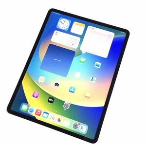 1円 Apple iPad Pro 第4世代 12.9インチ MXAU2J/A Wi-Fiモデル 256GB シルバー タブレット 本体