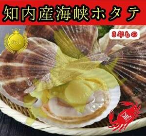  Hokkaido production . scallop 5 sheets 