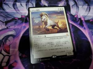 Magic: The Gathering MTG 日本語 冠毛の陽馬 神話レア 破滅の刻 HOU　一枚　個数2