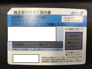 ANA株主優待券　2024年5月31日搭乗まで有効 送