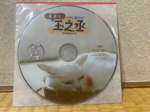 【非売品】玉之丞 たまのじょう 猫侍 いやし猫のDVD