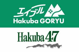 エイブル白馬五竜＆Hakuba47 （ゴンドラ・リフト1日券+食事券1000円分）大人1枚