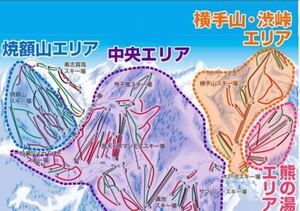 志賀高原マウンテンリゾート（全18スキー場共通券） 1枚