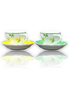 HUTSCHENREUTHER SUMMERDREAM Cup＆Saucer フッチェンロイター サマードリーム カップ＆ソーサー 2客セット 花柄 洋食器