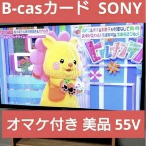 B-cas ソニー 55インチ 液晶テレビ BRAVIA ブラビア REGZA東芝 SONY EL ベガ VEGA プラズマ TV