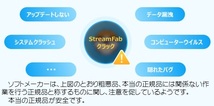 本当の正規品　StreamFab オールインワン DVDFab MusicFab Netflix U-NEXT amazon YouTube m80　最低価格_画像4