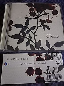 Cocco サングローズ /