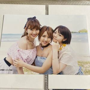 AKB48 ラブラドールレトリバー 上新電機ディスクピア 店舗特典 生写真 高橋みなみ 小嶋陽菜 峯岸みなみ こじはる たかみな ラブラドール