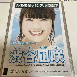 AKB48 渋谷凪咲 翼はいらない 劇場盤 生写真 選抜総選挙 選挙ポスター NMB48 