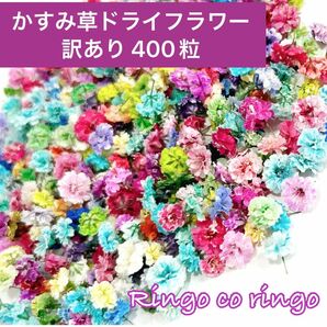 かすみ草 ドライフラワー ☆訳あり☆ 400粒 6