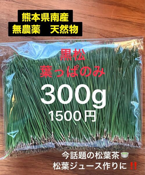 『すぐ使える松葉』300g 葉っぱのみ。空気澄んだ我が山小屋にて採取。農薬除草剤不使用。からだよろごぶ♪松葉茶　松葉ジュース！