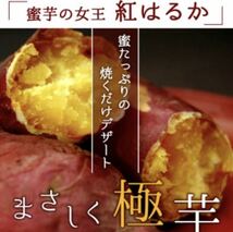 ”超熟”　紅はるか　★送料値下げ★【曲がりB等級】　糖度抜群　しっとり　上品な甘さ　うまい！安い！農家直送！限定 訳有り 5kg _画像4