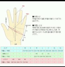 JRP グローブ GNW ウインターグローブ ガントレットグローブ 日本製 本革 防風レザーグローブ 冬用　耐水　Mサイズ_画像10