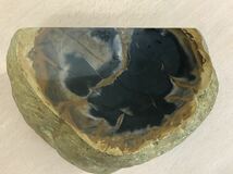 【保管品S5388】珪化木　木の化石　約4.6kg 岐阜県可児市産_画像6