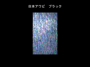 簡単に貼れる!アワビシート(日本アワビ　ブラックS）