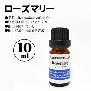 ローズマリー/精油/10ml/エッセンシャルオイル/アロマオイル
