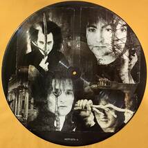 ザ・ダムド The Damned ピクチャー・ディスク / ファンタスマゴリア Phantasmagoria MCFP32756 LP レコード アナログ盤 02H_画像2