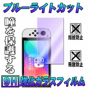 Nintendo ブルーライトカットガラスフィルム　ELタイプ