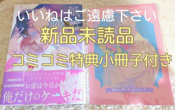 【いいね厳禁】※コミコミ特典付き　新品未読品　『舐めて、んで、キスをして/文月くみ』