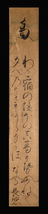 ＜E24174＞【真作】花山院長煕 肉筆和歌短冊「葛」江戸時代中期の公卿_画像1