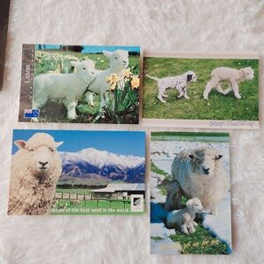 ニュージーランドのポストカード 絵葉書 メッセージカード
