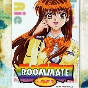 GWsale! (A38-2) DATAM ルームメイト 井上涼子 ROOMMATE +ONE テレカの画像1