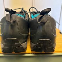 ARC'TERYX ACRUX2 FL GORE-TEX 28cm_画像6